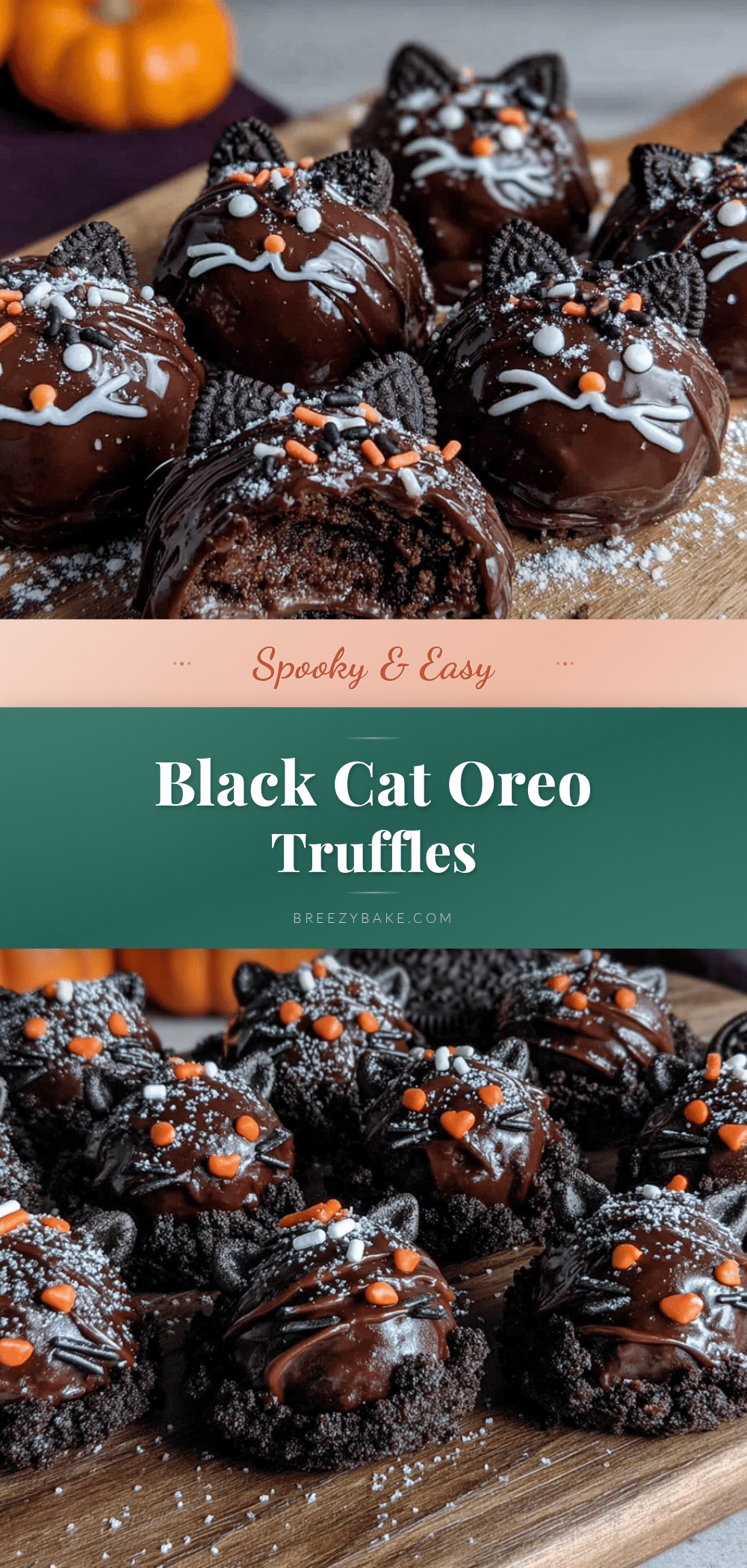Easy Black Cat Oreo Truffles Halloween Recipe recipe