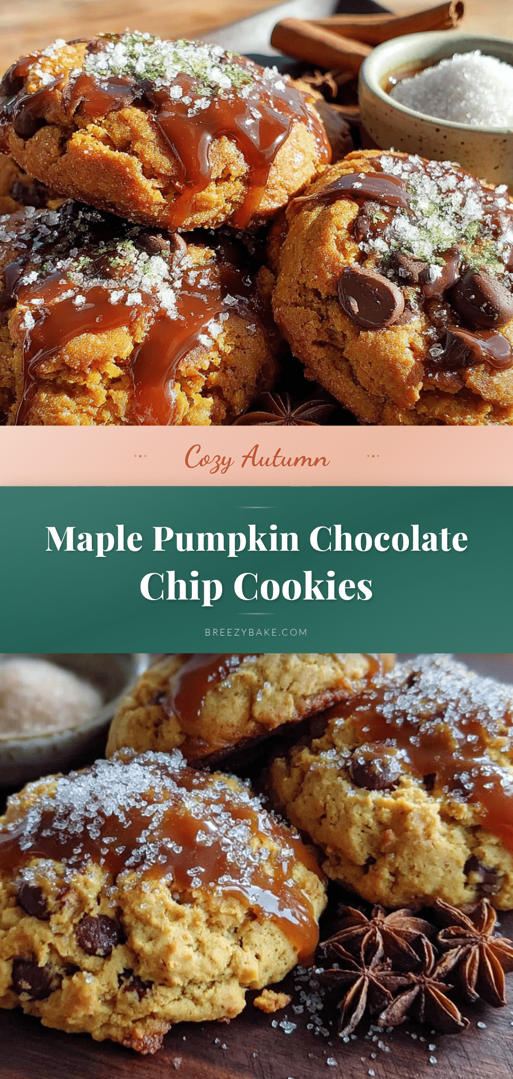 maple pumpkin chocolate chip cookies recipe