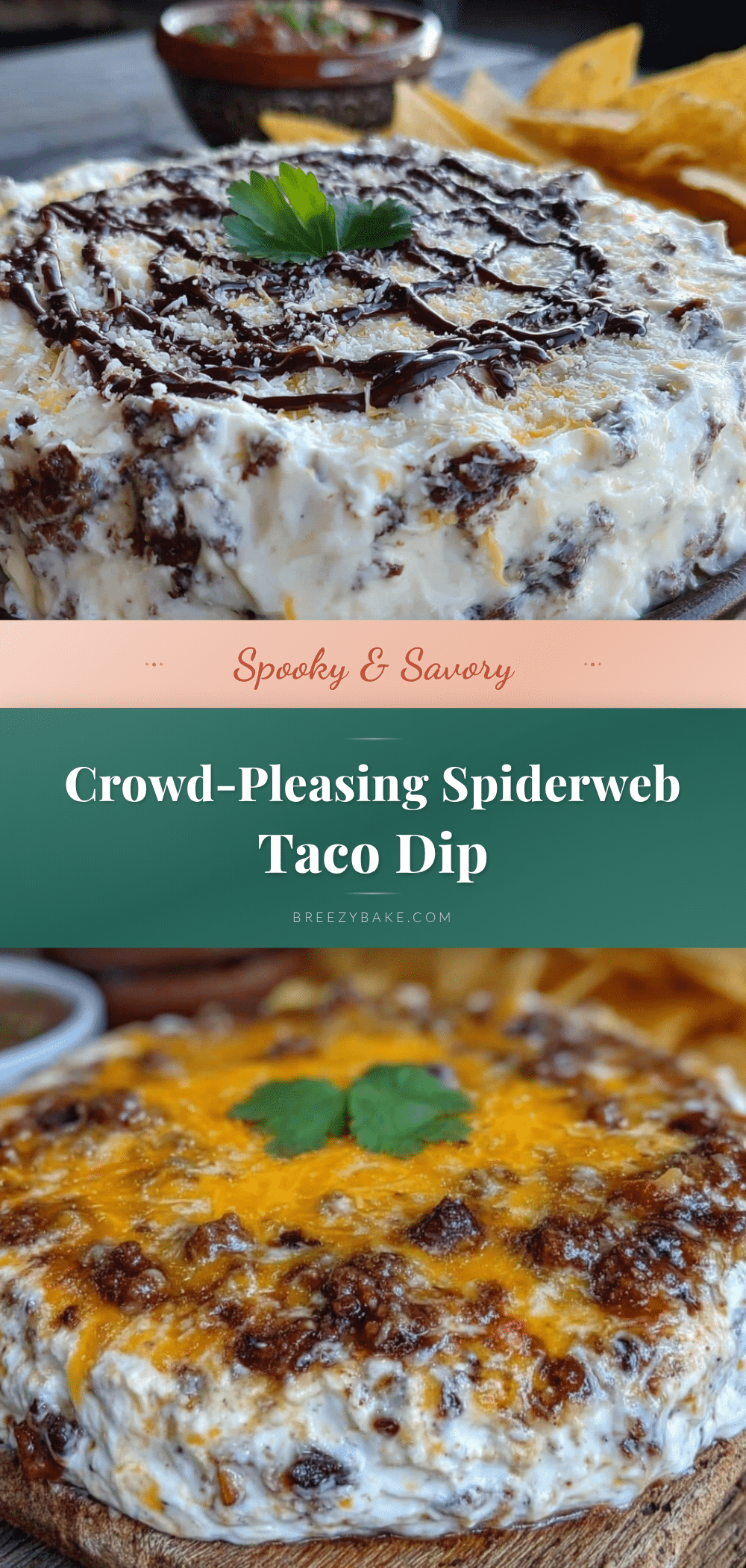 spiderweb taco dip recipe
